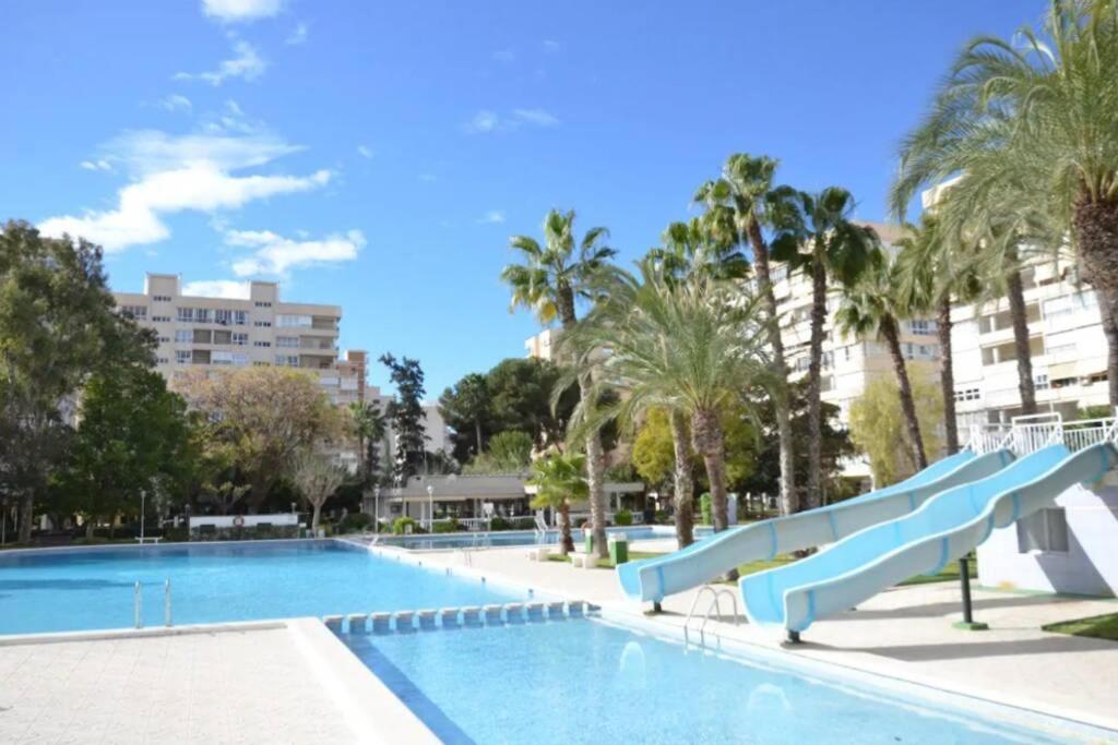 Garden With Pool And Ac Alicante