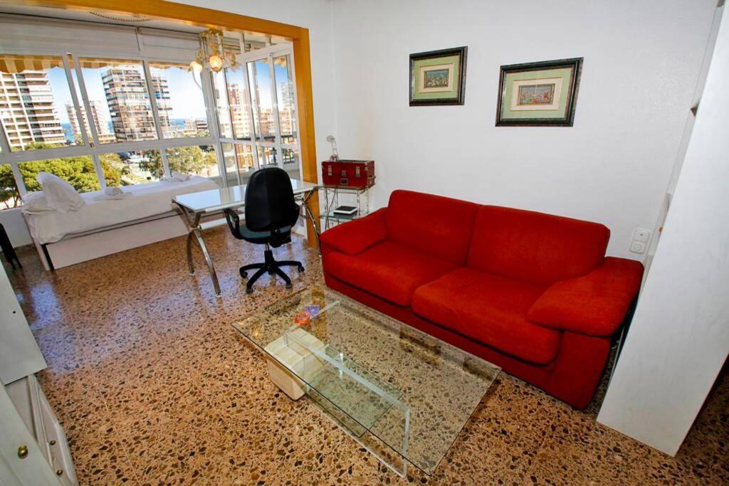 Garden With Pool And Ac Apartment Alicante